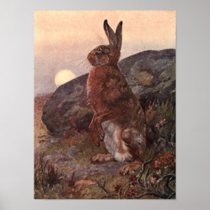 Póster Animales salvajes de época, liebre de Winifred Aus