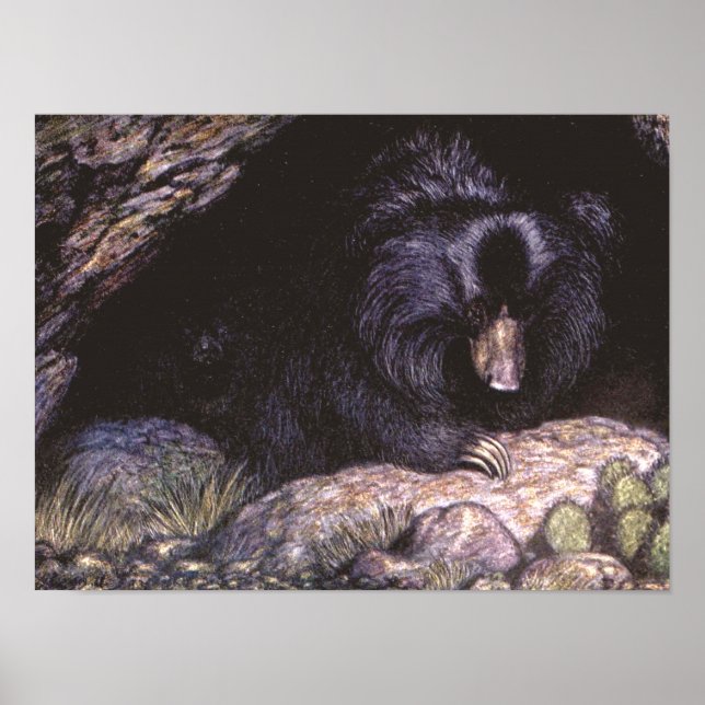 Póster Animales salvajes de época, osos espumosos por Lou (Frente)