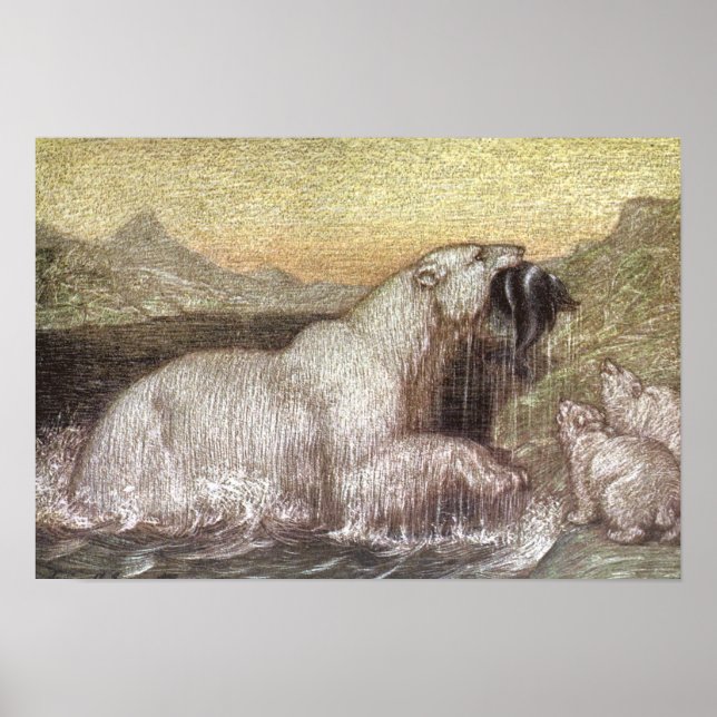 Póster Animales salvajes de época, osos polares de Louis  (Frente)