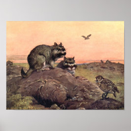 Póster Animales salvajes de época, Vizcachas de Winifred