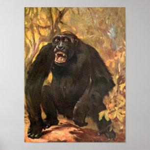 Póster Animales salvajes, gorilas o grandes simios de Cis