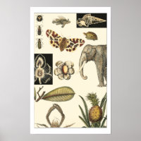 Animales variados pintados con fondo crema