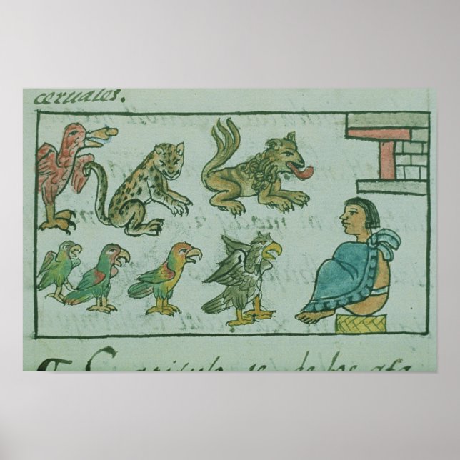 Póster Animals of the Aztec Emperor (Frente)