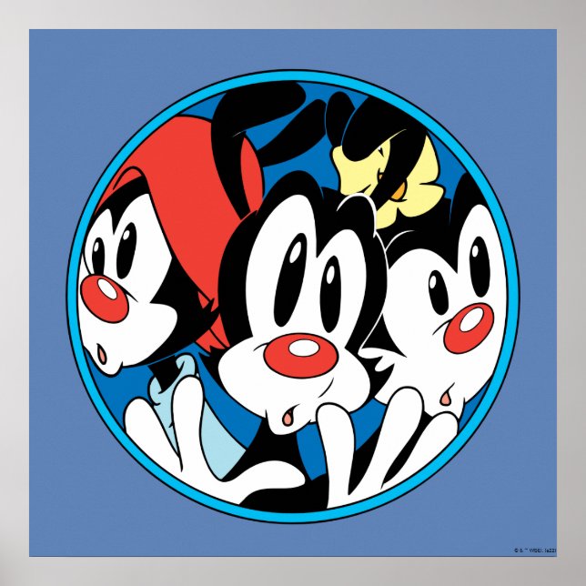 Póster Animaniacs | Gráfico circular de hermanos Warner (Frente)