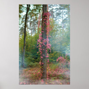 Póster Ánimo de bosque