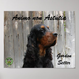 Póster Animo non Astutia, cartel de Gordon Setter