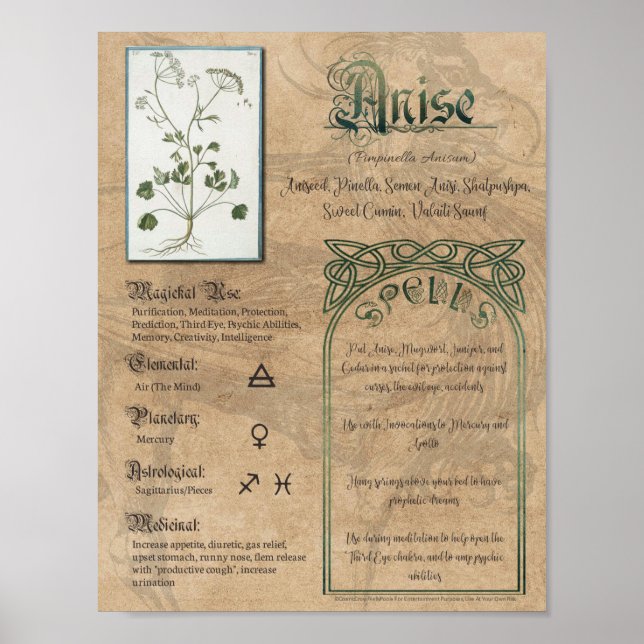 Póster Anís libro herbal de sombras pagano Wiccan (Frente)