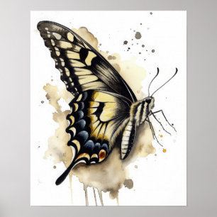 Póster Anise Swallowtail Butfly Art Print Poster