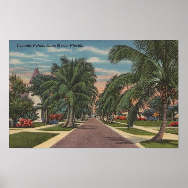 Póster Anna Maria, Florida - Vista de las palmeras en la  (Frente)