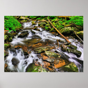 Póster Anna Ruby Tumbles, Poster