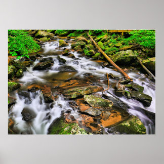 Póster Anna Ruby Tumbles, Poster