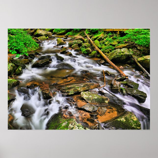 Póster Anna Ruby Tumbles, Poster (Frente)