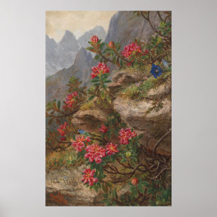 Póster Anna Stainer-Knittel Flores alpinas vintage