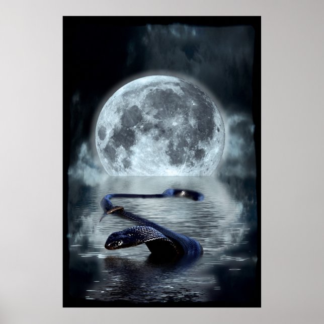 Póster Año chino de la serpiente de agua de serpiente ser (Frente)