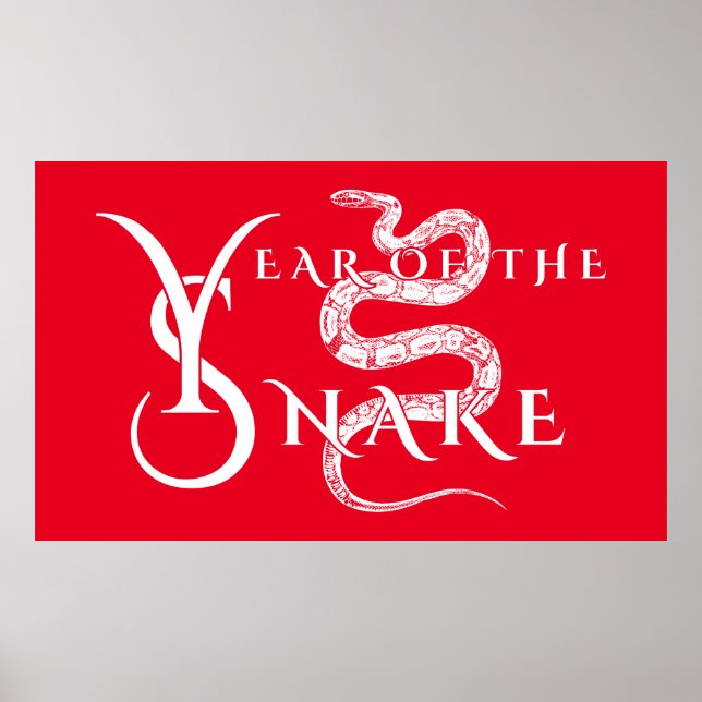 Póster Año de la serpiente (Frente)