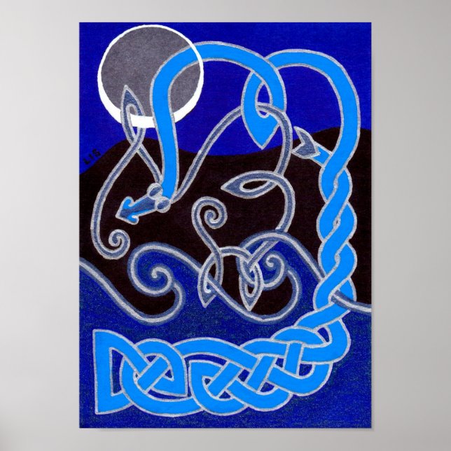 Póster Año de la serpiente del agua (Frente)