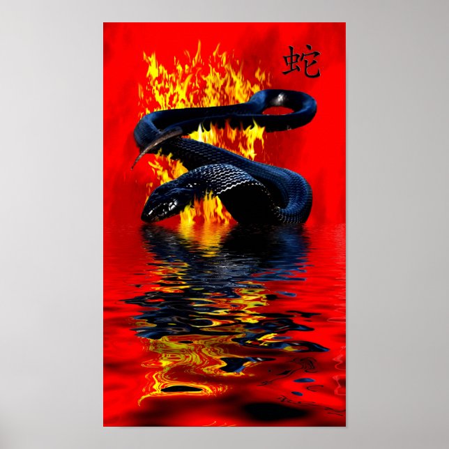 Póster Año de la serpiente negra Año Nuevo chino (Frente)