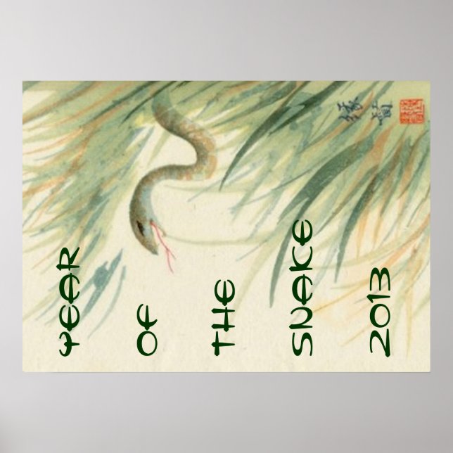 Póster Año de la serpiente poster (Frente)