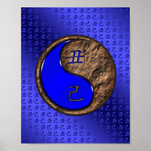 Póster Año de la Tierra