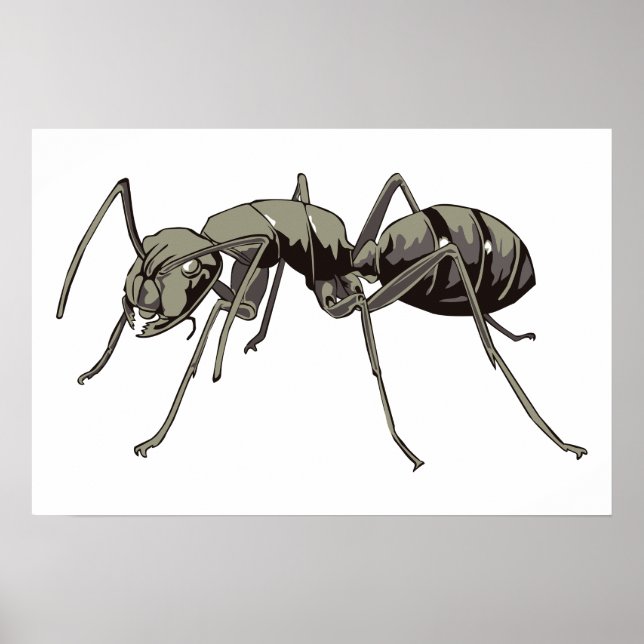 Póster Ant (Frente)