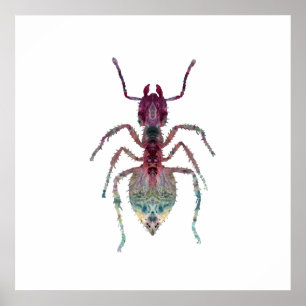 Póster Ant Art