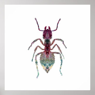 Póster Ant Art