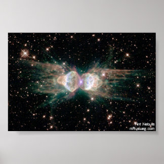 Póster Ant Nebula