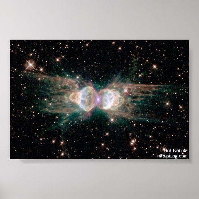 Póster Ant Nebula (Frente)