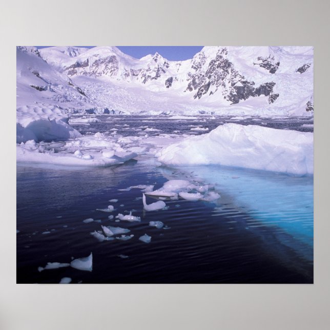 Póster Antártica. Expedición mediante icescapes (Frente)