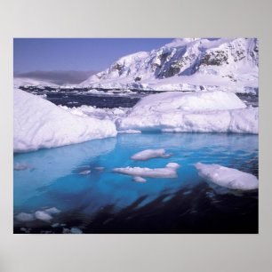 Póster Antártida. Expedición a través de paisajes de hiel