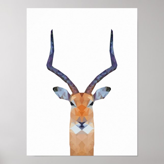 Póster Antelope | Gasele (Frente)