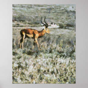 Póster Antelope salvaje en pintura de animales en pradera