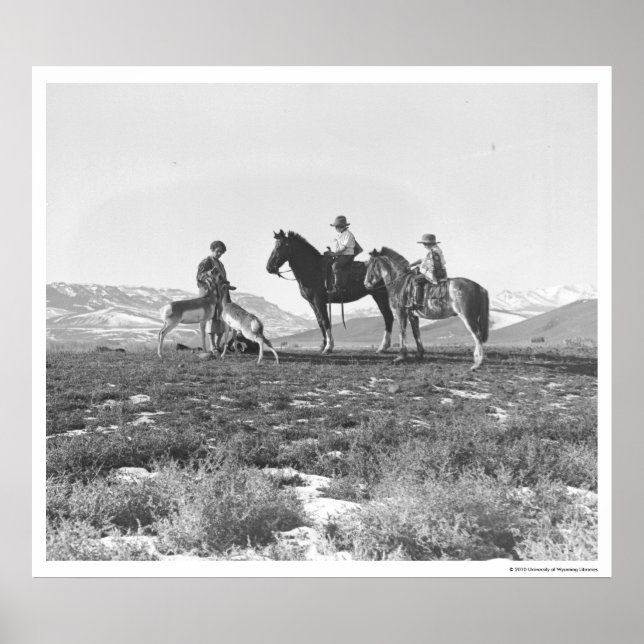 Póster Antelopes de Petting. (Frente)