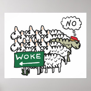 Póster Anti-despertar