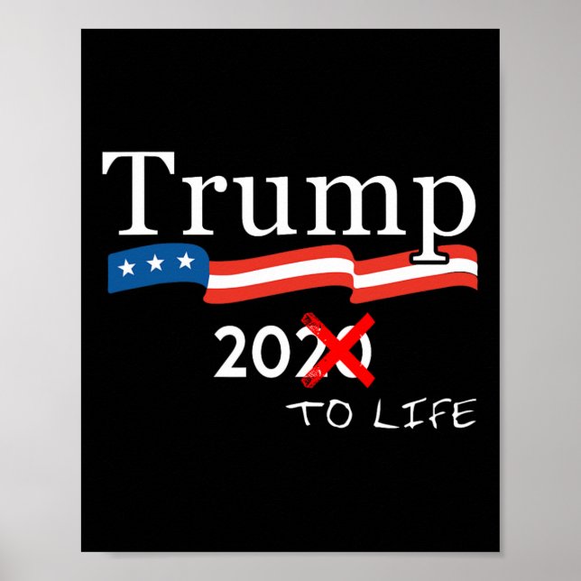 Póster Anti-trump 20 To Life (Frente)