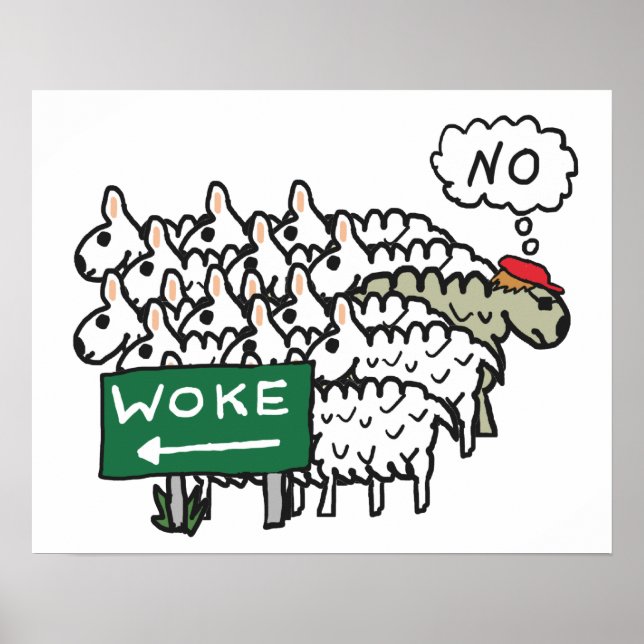 Póster Anti Woke (Frente)