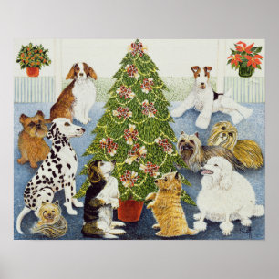 Póster Anticipación