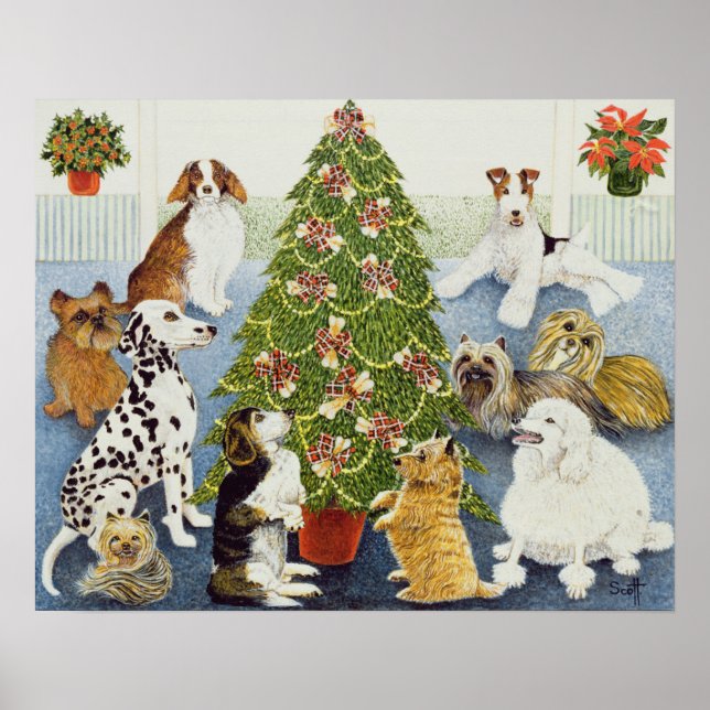 Póster Anticipación (Frente)