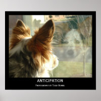 Anticipación