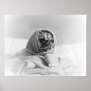 Póster Antigua bomba de campo