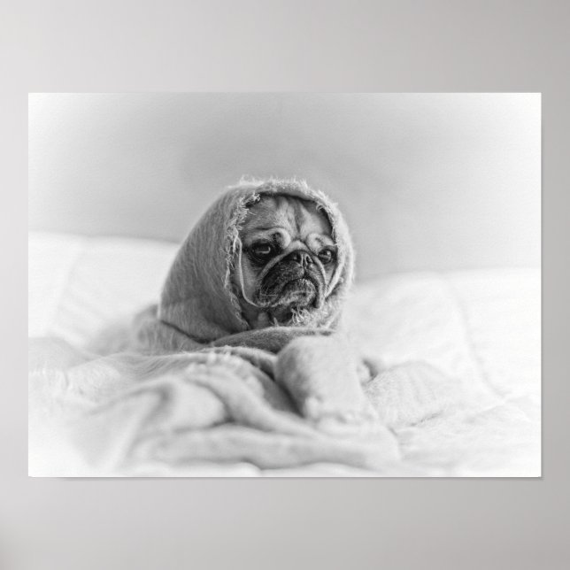 Póster Antigua bomba de campo (Frente)