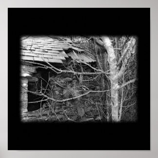 Póster Antigua casa de campo y árbol. Blanco y negro.