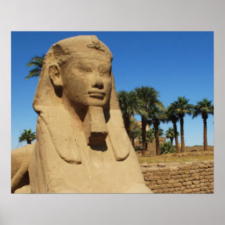Póster Antigua estatua egipcia de esfinge de lujo Egipto
