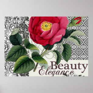 Póster Antigüedad floral de la Bonito de Damasco Rosa