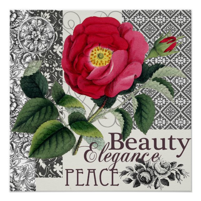 Póster Antigüedad floral de la Bonito de Damasco Rosa (Anverso)