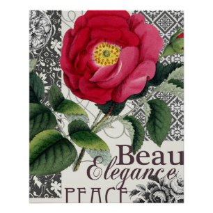 Póster Antigüedad floral de la Bonito de Damasco Rosa
