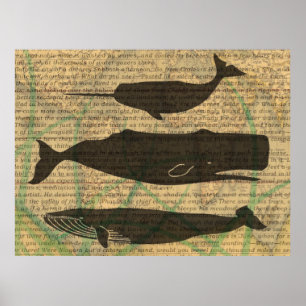 Póster Antiguo Ballena Náutico: Vida Marina Vintage