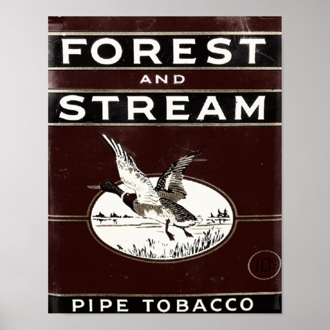 Póster Antiguo bosque y el tabaco de las tuberías de rieg (Frente)