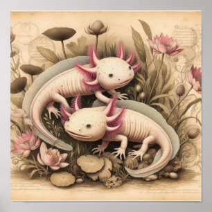 Póster Antiguo de Axolotl con Planta Científica 