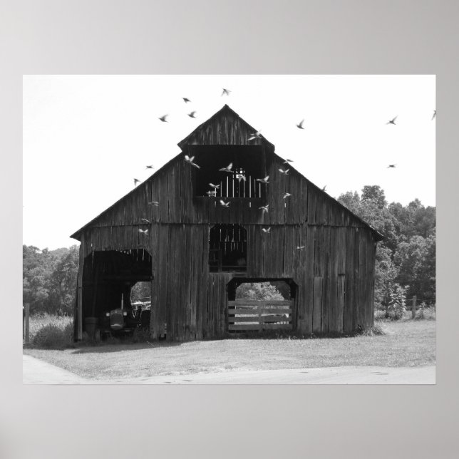 Póster Antiguo granero (Frente)